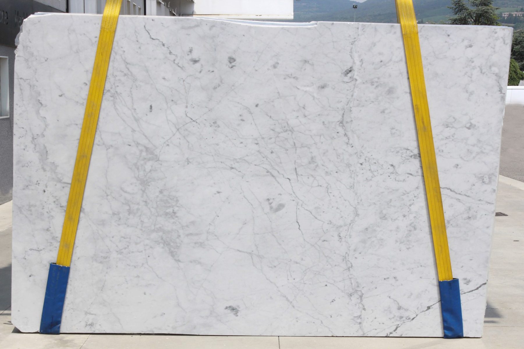 Plaat Carrara marmer